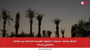الزعاق يكشف تسميات الشهور الهجرية المتداولة بين العامة والمغزى وراءها